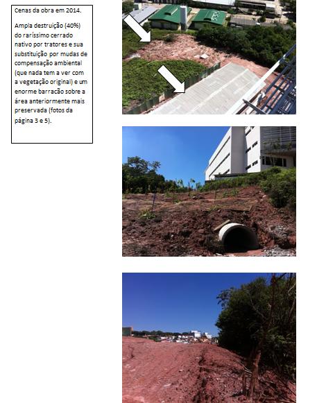 Cerrado USP destruído pelas obras do novo centro de            convenções - foto de Ricardo Cardim - 2 todos os direitos            reservados (2)