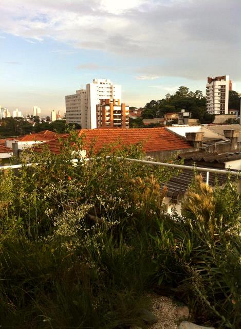 SkyGarden Telhados verdes - telhado ecologico de cerrado
